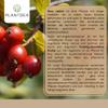 PlantDEA Organic Rosehip Powder 1,000 g | Raw Food Quality | Finely Ground Whole Rosehips | Vegan view 3