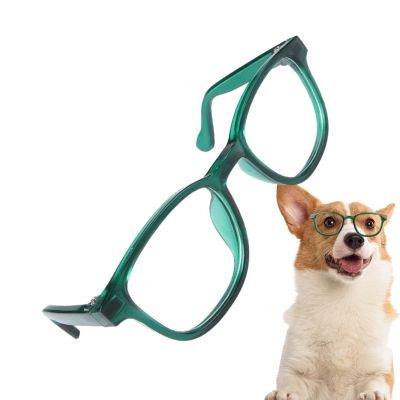 Pet Sunglasses for Small Animals