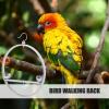 Stainless Steel Bird Perch Hanging Toy Stand view 2