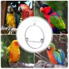 Stainless Steel Bird Perch Hanging Toy Stand view 4