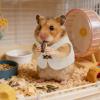 Hamster Vest for Cold Weather view 4