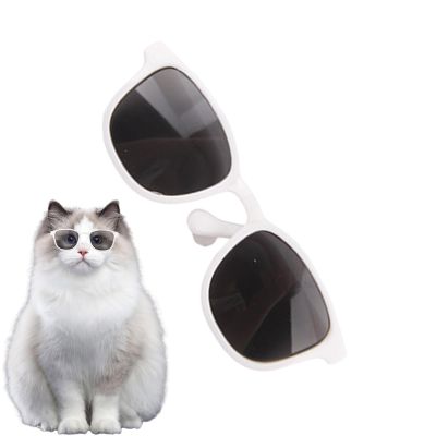 Sunglasses for Dogs and Cats
