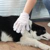 Pet Cleaning Gloves - 6 Pack for Hair Removal view 3