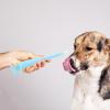 Mikikit Adjustable Pet Medication Dispenser view 4
