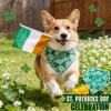 ICEMOOD St. Patrick's Day Dog Bandana view 3
