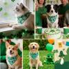 ICEMOOD St. Patrick's Day Dog Bandana view 4