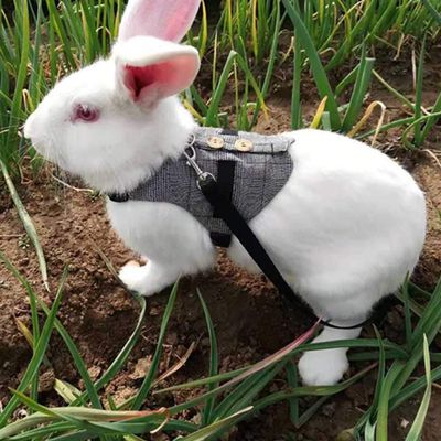 Bnineteenteam Rabbit Harness and Leash (S)