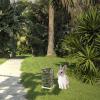 Ciieeo Rabbit Hay Feeder view 4