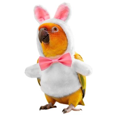 Bird Clothing - Windproof Cosplay Suit