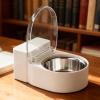 Cat Water Bowl, Toilet Shape, Elevated, Small, Fun, Automatic Flow view 3