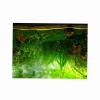 Taidda Aquarium Background Poster, Self-Adhesive PVC Water Grass Design view 2