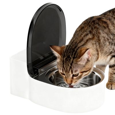 Cat Water Bowl, Toilet Shape, Elevated, Leak-Proof, Automatic Flow