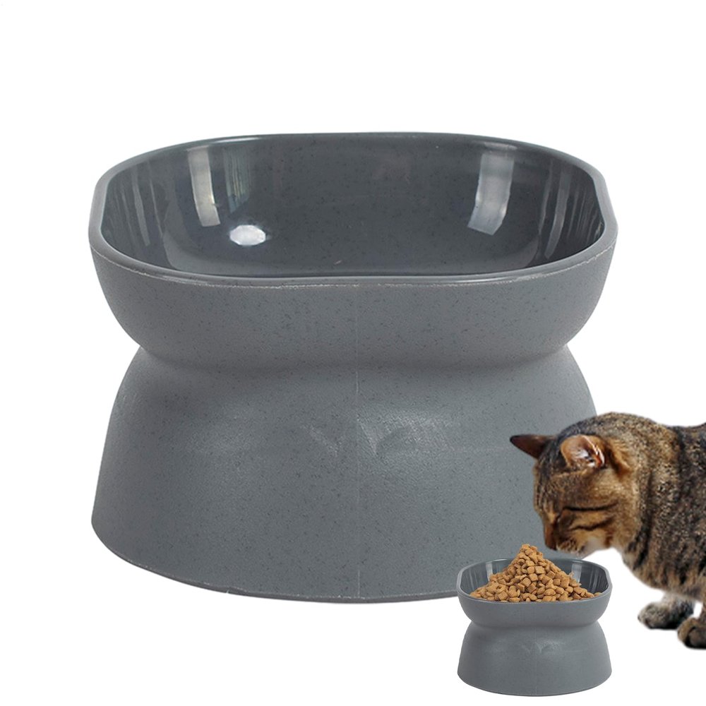 Elevated Bowl for Kittens