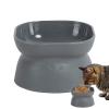 Elevated Bowl for Kittens view 1