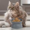 Elevated Bowl for Kittens view 2