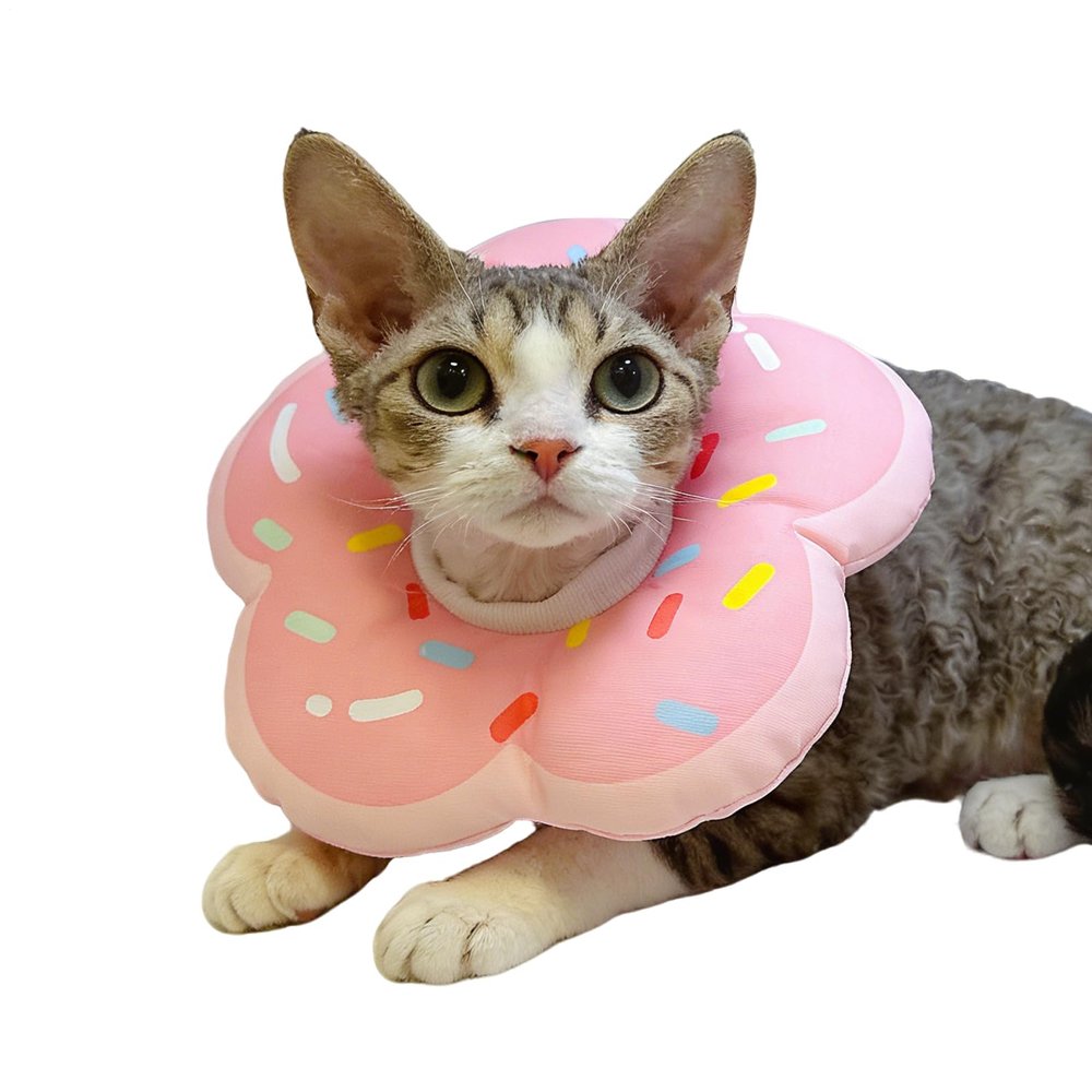 Soft Recovery Collar for Cats