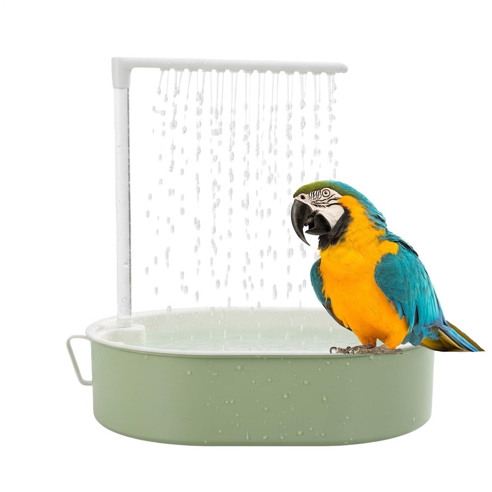 Conure Bird Shower with Pump and Flowing Water