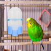 Hemobllo Automatic Bird Feeder and Water Dispenser view 4