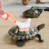 Hemobllo Turtle Cleaning Brushes - 2 Pack view 4