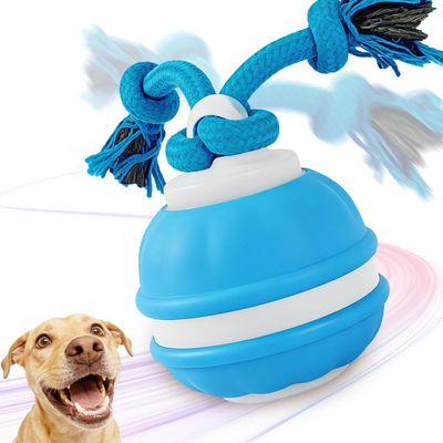 APODESS Interactive Dog Toy - 2026 New Interactive Ball for Dogs