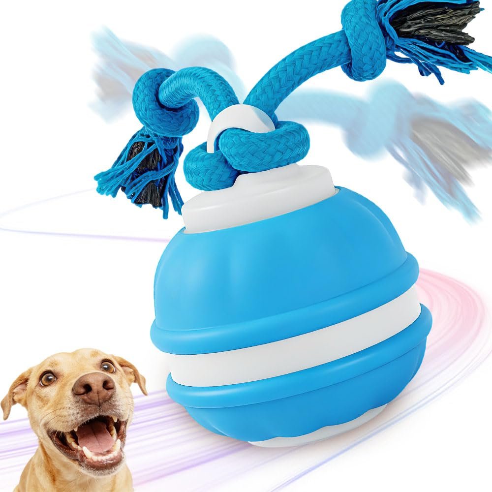 APODESS Interactive Dog Toy - 2026 New Interactive Ball for Dogs