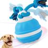 APODESS Interactive Dog Toy - 2026 New Interactive Ball for Dogs view 1