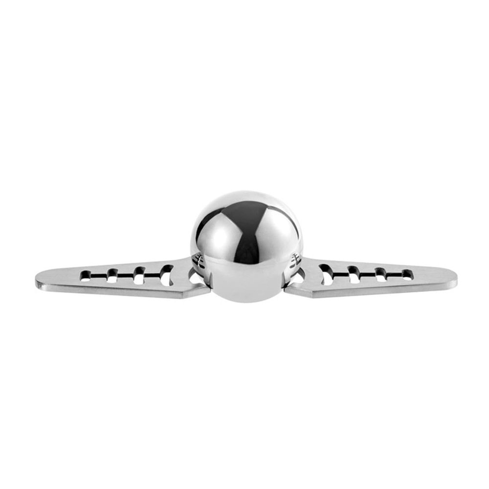 FACAIIO Stainless Steel Coffee Ice Ball with Holder, Whiskey Chilling Stone, 2.2 cm, Reusable, Silver