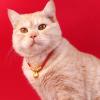 Dog Collar for Small Dogs, Cute Cat Collar, Chinese New Year Necklace view 3