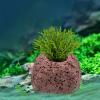 Aquarium Water Plants with Stable Ring, Volcanic Rock Style, 4 Pieces view 3