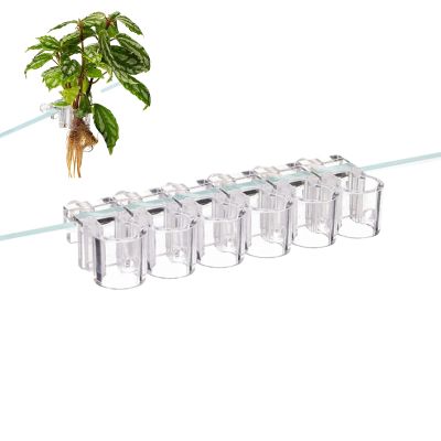 Aquarium Plant Holders, 6-Pack, Clear Plant Cups