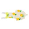 Phefop Se Bird Diaper, 10.2 x 20.1 cm, Adjustable Strap, Washable Parrot Diaper for Cockatiels, Parakeets, Pigeons, Macaws, Budgies, Size L, Fruit view 1