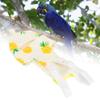 Phefop Se Bird Diaper, 10.2 x 20.1 cm, Adjustable Strap, Washable Parrot Diaper for Cockatiels, Parakeets, Pigeons, Macaws, Budgies, Size L, Fruit view 3