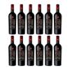 Novantaceppi Appassimento Puglia IGT Semi-Dry Red Wine, Italy, incl. FeinWert E-Book (12 x 0.75 L) view 1