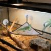Reptile Hammocks for Bearded Dragons, 2-Pack, Breathable view 3