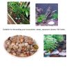 Natural Polished Agate Stones, River Rocks, Pebbles for Gardens, Aquariums, Pots, Vases, and Décor view 2