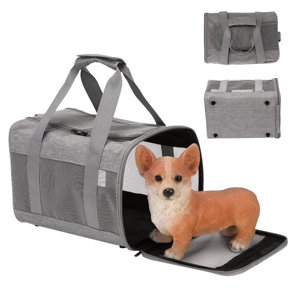 Pet Carrier with Mesh Window, Handle, and Soft Bag