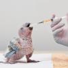 Beavorty 3-Piece Bird Feeding Tool view 4