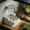 Reptile Automatic Water Dispenser Terrarium Bowl view 2