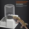 Reptile Automatic Water Dispenser Terrarium Bowl view 4
