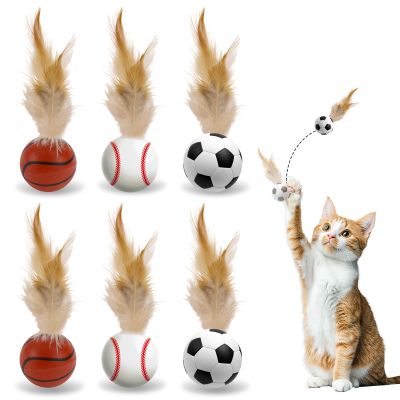 6-Pack Interactive Cat Balls with Feathers
