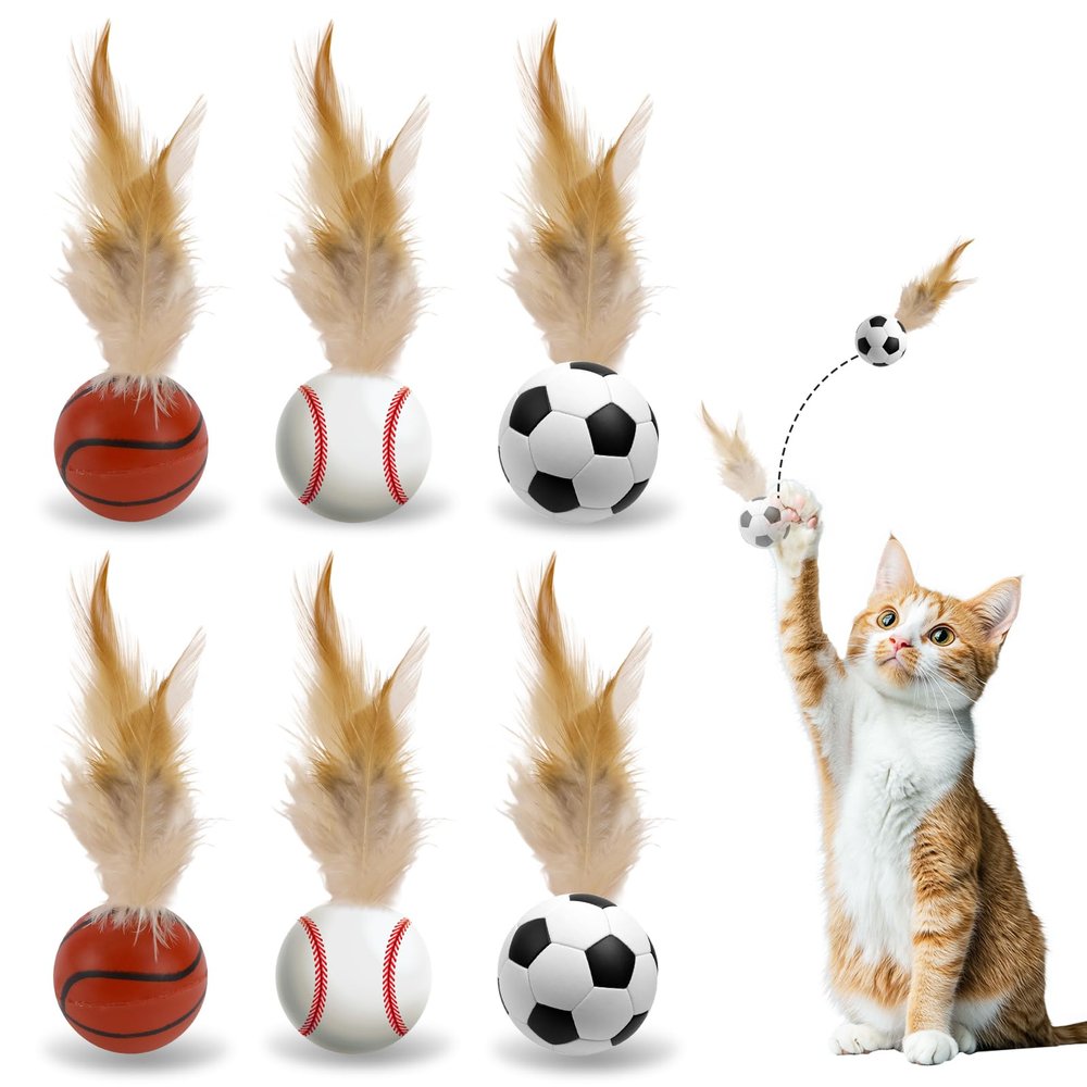6-Pack Interactive Cat Balls with Feathers