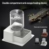 Bearded Dragon Water Fountain view 4