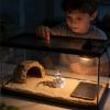 Bearded Dragon Reptile Automatic Water Bowl view 4