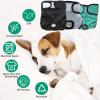 3-Pack Reusable Dog Diapers, Highly Absorbent Washable Protective Pants, XL view 3