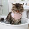 Cat Recovery Collar 13.7 Inch Protective Cone view 3