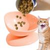 Cat Bowl - 200ml Stable Anti-Tip Water Bowl | 15-Degree Sloped Feeding Bowl for Small Dogs, Cats, and Puppies Indoors and Outdoors view 1