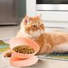 Cat Bowl - 200ml Stable Anti-Tip Water Bowl | 15-Degree Sloped Feeding Bowl for Small Dogs, Cats, and Puppies Indoors and Outdoors view 2