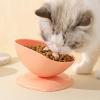 Cat Bowl - 200ml Stable Anti-Tip Water Bowl | 15-Degree Sloped Feeding Bowl for Small Dogs, Cats, and Puppies Indoors and Outdoors view 3