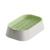 Compact Cat Grass Planter view 1