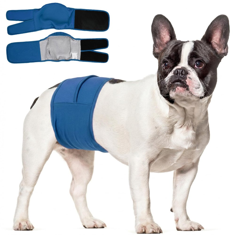Kuoser Washable Male Dog Diaper, Blue, XL